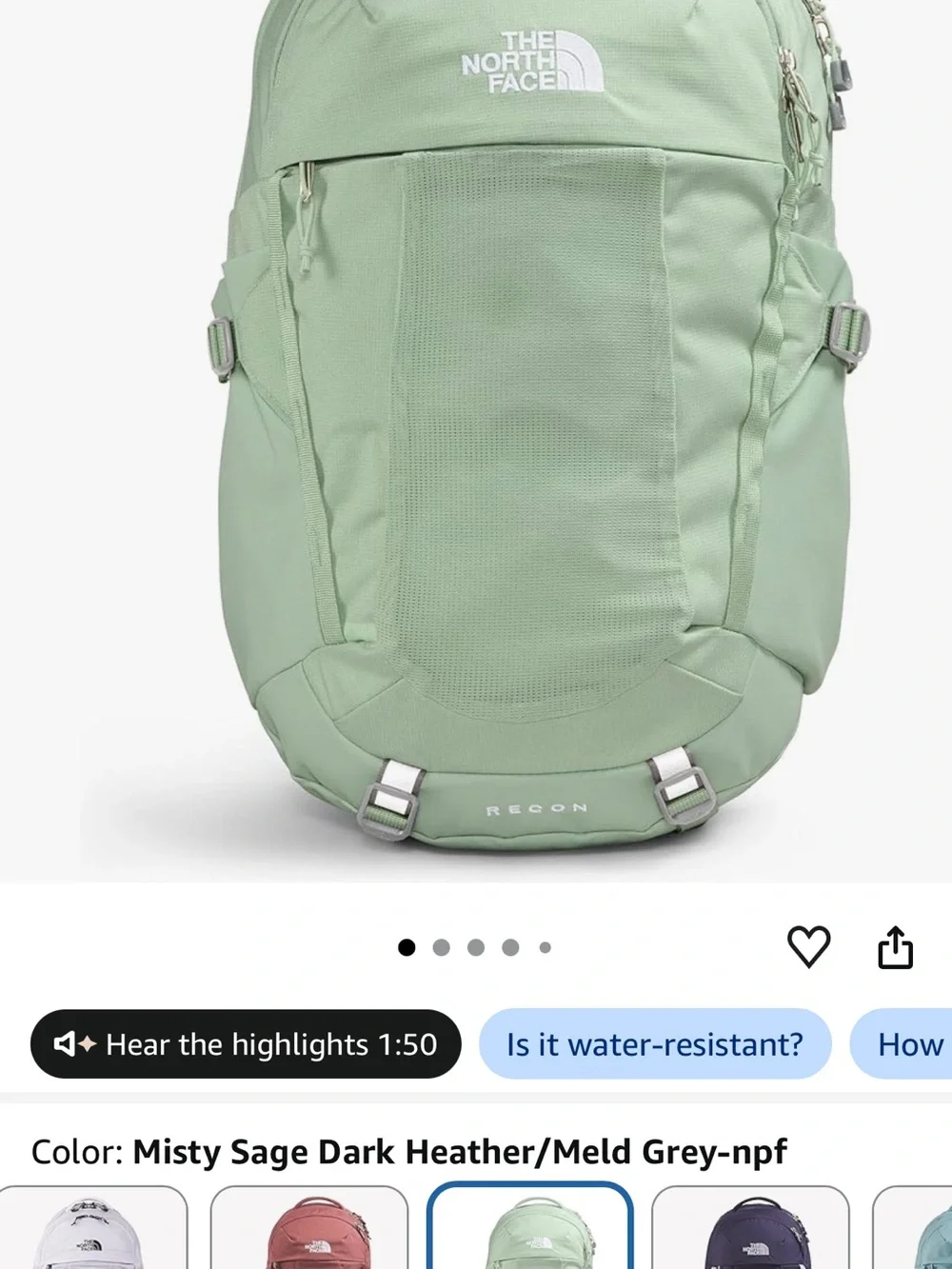 The North Face Mint Green Everyday Backpack